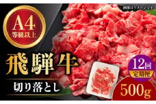 【12回定期便】【飛騨牛】 切り落とし 500g × 12回 (計6kg) 和牛 ブランド牛 国産 牛肉 多治見市 / 渡辺精肉店 [TAZ014]