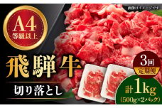 【3回定期便】【飛騨牛】 切り落とし 1kg × 3回 (計3kg) 和牛 ブランド牛 国産 牛肉 多治見市 / 渡辺精肉店 [TAZ015]