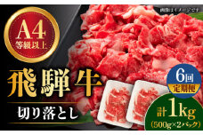 【6回定期便】【飛騨牛】 切り落とし 1kg × 6回 (計6kg) 和牛 ブランド牛 国産 牛肉 多治見市 / 渡辺精肉店 [TAZ016]