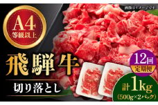 【12回定期便】【飛騨牛】 切り落とし 1kg × 12回 (計12kg) 和牛 ブランド牛 国産 牛肉 多治見市 / 渡辺精肉店 [TAZ017]