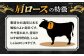 6回 定期便 飛騨牛 しゃぶしゃぶ用 ロース / 肩ロース 500g