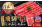 12回 定期便 飛騨牛 しゃぶしゃぶ用 ロース / 肩ロース 500g