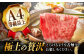 12回 定期便 飛騨牛 しゃぶしゃぶ用 ロース / 肩ロース 500g