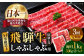 3回 定期便 飛騨牛 しゃぶしゃぶ用 ロース / 肩ロース 1kg