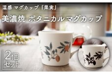 【温度で変化する】【美濃焼】 温感 マグカップ （2個） ボタニカル 『果実』【丸モ高木陶器】 ≪多治見市≫ 食器 コーヒーカップ [TBA105]
