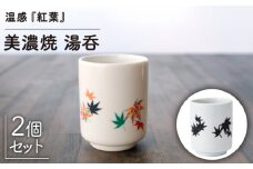 【温度で変化する】【美濃焼】 湯呑 （2個） 『 紅葉 』【丸モ高木陶器】 ≪多治見市≫ 食器 湯呑み [TBA114]
