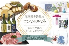 【多治見市コンシェルジュ】返礼品おまかせ！寄附額50万円分コース [TDA001]