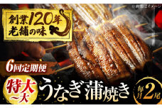 【6回定期便】 うなぎ 蒲焼き 2尾 × 6回 計12尾 鰻 ウナギ 丑の日 多治見市/澤千 [TDD006]