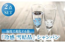 温度で変化する器 シャンパン ペアセット 『冷感 雪結晶』【丸モ高木陶器】 [TBA132]