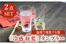 温度で変化する器 タンブラー ペアセット 『冷感 紅葉』【丸モ高木陶器】 [TBA136]