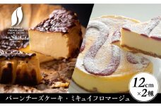 ＼名店の味を食べ比べ／ チーズケーキ 2種セット スイーツ ケーキ ギフト 多治見市 / シェ・シバタ [TDH001]