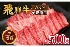 【飛騨牛】カルビ(焼肉用) 500g  国産 ブランド牛 和牛 多治見市/肉のひぐち [TDC001]