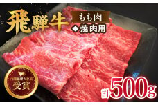 【 飛騨牛 】焼肉 用 もも 肉 500g  牛肉 国産 ブランド牛 和牛 多治見市/肉のひぐち [TDC003]