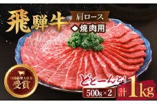 【 飛騨牛 】 焼肉 用  肩 ロース 1kg  牛肉 国産 ブランド牛 和牛 多治見市/肉のひぐち [TDC006]