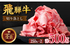 【 飛騨牛 】 切り落とし 500g  ( 250g × 2 )   牛肉 国産 ブランド牛 和牛 多治見市/肉のひぐち  [TDC009]