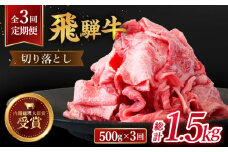 【 3回 定期便 】【 飛騨牛 】 切り落とし 総計 1.5kg  ( 1回あたり )  500g ( 250g × 2 )   牛肉  国産 ブランド牛 和牛 多治見市/肉のひぐち  [TDC010]
