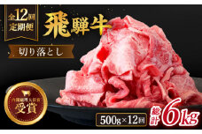 【 12回 定期便 】【 飛騨牛 】 切り落とし 総計 6kg 〈 1回あたり 〉500g  ( 250g × 2 ) 牛肉 国産 ブランド牛 和牛 多治見市/肉のひぐち  [TDC012]