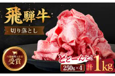 【 飛騨牛 】 切り落とし 1kg ( 250g × 4 )【肉のひぐち】 牛肉 国産 ブランド牛 和牛 多治見市/肉のひぐち [TDC013]