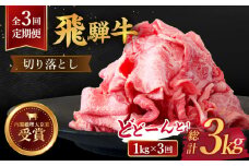 【 3回 定期便 】【 飛騨牛 】 切り落とし 総計 3kg 〈 1回あたり 〉1kg ( 250g × 4 )  牛肉 国産 ブランド牛 和牛 多治見市/肉のひぐち [TDC014]