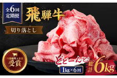 【 6回 定期便 】【 飛騨牛 】切り落とし 総計 6kg 〈 1回あたり 〉1kg ( 250g × 4 )  牛肉 国産 ブランド牛 和牛 多治見市/肉のひぐち  [TDC015]