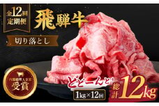 【 12回 定期便 】【 飛騨牛 】 切り落とし 総計 12kg 〈 1回あたり 〉1kg  ( 250g × 4 )  牛肉 国産 ブランド牛 和牛 多治見市/肉のひぐち [TDC016]