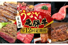 【全12回定期便】うなぎと飛騨牛 スタミナ"超"がつん！ 贅沢 うな牛 定期便 4人前 ステーキ 鰻 高級 / 多治見市ふるさと納税 [TDA010]