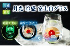 温度で変化する器 × 蓄光 『月光 冷感 富士山』 【丸モ高木陶器】  [TBA147]