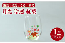 温度で変化する器 × 蓄光『月光 冷感 紅葉』【丸モ高木陶器】 グラス 贈答 酒器  [TBA153]