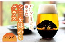 夕日を眺める グラス『ハワイ』【丸モ高木陶器】 ビールグラス 酒器 贈答  [TBA158]