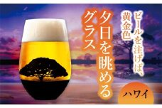 夕日を眺める グラス『ハワイ』【丸モ高木陶器】 ビールグラス 酒器 贈答  [TBA158]