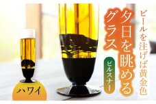 夕日を眺める グラス ピルスナー『ハワイ』【丸モ高木陶器】 ビールグラス 贈答 酒器  [TBA162]