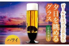 夕日を眺める グラス ピルスナー『ハワイ』【丸モ高木陶器】 ビールグラス 贈答 酒器  [TBA162]