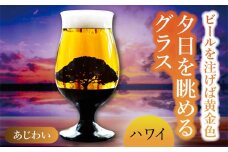 夕日を眺める グラス あじわい『ハワイ』【丸モ高木陶器】 ビールグラス 酒器 贈答  [TBA166]