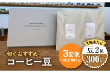 【3回定期便】 こだわりの自家焙煎 コーヒー豆 2種 計300g 珈琲 飲み比べ ギフト 多治見市 / Jikan ryoko [TDR004]