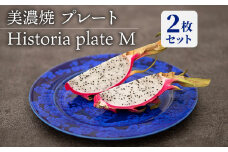 【美濃焼】 プレートM 2枚セット Historia plate M pair set   食器 器 うつわ 多治見市/柴田商店  [TAL065]