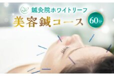 美容鍼 コース 60分 チケット （おひとり様/一回分） 【鍼灸院ホワイトリーフ】 [TDZ001]