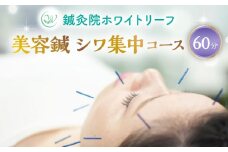 美容鍼 シワ 集中コース 60分 チケット （おひとり様/一回分） 【鍼灸院ホワイトリーフ】 [TDZ002]
