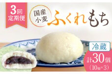 【3回定期便】 国産 小麦の ふくれもち （ 冷蔵 ）  計30個   ベーグル 冷蔵 国産小麦 多治見市/ひとてま屋   [TDS002]