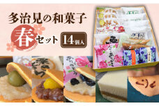 多治見の和菓子 春セット 14個入り 9種 【亀屋製菓舗】 どら焼き 若鮎 名物 [TDX001]