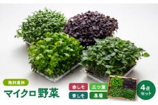 マイクロ野菜 4点セット〈 赤しそ 青しそ 三つ葉 春菊 〉【諏訪農林】 [TDO002]