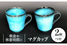 【美濃焼】 マグカップ 2個 ペアセット （つや有） 【東山窯】 [TDU006]