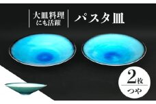 【美濃焼】 パスタ皿 2点 セット （つや有） 【東山窯】 [TDU016]