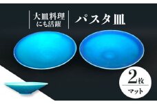 【美濃焼】 パスタ皿 2点 セット （マット） 【東山窯】 [TDU018]