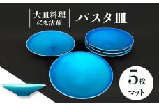 【美濃焼】 パスタ皿 5点 セット （マット） 【東山窯】 [TDU019]