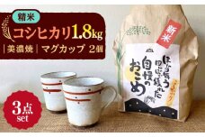 【令和7年産】 精米 コシヒカリ 特別栽培米 （1.8kg） + 【美濃焼】 赤絵かいらぎ マグカップ （2個） 多治見市 / 山松加藤松治郎商店 [TEU001]