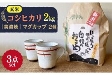 【令和7年産】 玄米 コシヒカリ 特別栽培米 （2kg） + 【美濃焼】 赤絵かいらぎ マグカップ （2個）多治見市 / 山松加藤松治郎商店 [TEU002]