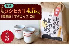 【令和7年産】 精米 コシヒカリ 特別栽培米 （4.5kg） + 【美濃焼】 赤絵かいらぎ マグカップ （2個） 多治見市 / 山松加藤松治郎商店 [TEU003]