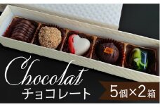 チョコレート 詰め合わせ  5個 × 2箱 【サンドール】 スイーツ チョコレート 詰合せ [TDW005]