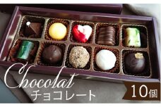 【2024年1月20日以降順次発送】チョコレート 詰め合わせ 10個 入り 1箱 【フランス菓子 サンドール】 [TDW006] スイーツ チョコレート チョコ