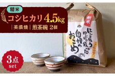 【令和7年産】 精米 コシヒカリ 特別栽培米（4.5kg） + 【美濃焼】 赤絵かいらぎ 煎茶 （2個） 多治見市 / 山松加藤松治郎商店 [TEU017]